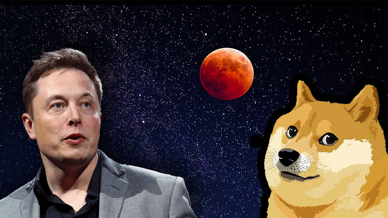 Elon Musk, Dogecoin, Late Night Shows, and Bolivian Coups